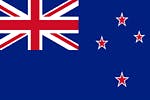 NZ team flag