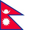 NEP team flag